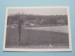 MUNTE De Hoeven In Het Landschap ( COPIE / COPY Van PK Voor 1000 Jaar Munte 990-1990 ) Anno 1990 ( Zie Foto Details ) ! - Merelbeke