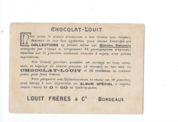 Chromo CHRISOPHE COLOMB CRISTOFORO COLOMBO Cristobal Colón  EXPLORATEUR Pub: Chocolat  LOUIT Bien  2 Scans - Louit