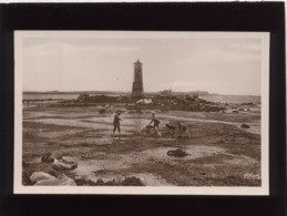 22  Pleubian  Phare Du Port Béni édit. Combier Sépia Glacée Scène De Pêche à Pied - Pleubian