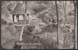 CPA - (Royaume-Uni) Duck Pond, Pittencrieff Glen, Dunfermline - Fife