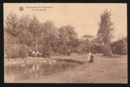 PENSIONNAT DE NEDERBRAKEL  - UN COIN DU PARC - Brakel