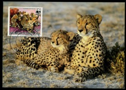 1984 Upper Volta Cheetah,Gepard,Guepard,Guepardo,Cat,Wild Animal,WWF,1 Maxi Card - Raubkatzen