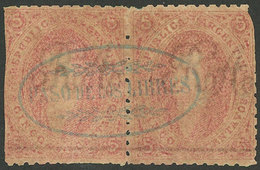 ARGENTINA: GJ.20g+j, Pair Of 3rd Printing With Varieties: Thin Paper (90 Microns) And Mulatto, Both With Line Watermark  - Ongebruikt