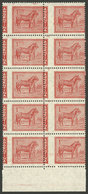 ARGENTINA: GJ.1127, 1959 1P. Horse, Block Of 4 With VERY SHIFTED PERFORATION, Spectacular, Excellen! - Other & Unclassified