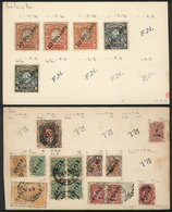 CHINA - RUSSIAN OFFICES: 2 Old Cards With Mint And Used Stamps, Fine General Quality (some Can Have Minor Defects), HIGH - China