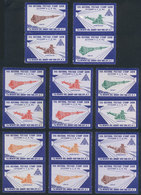 UNITED STATES: 16 Cinderellas Of 1962, ASDA Stamp Show (space Exploration), MNH But Some With Small Staining On Gum, Low - Vignetten (Erinnophilie)