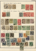 LUXEMBOURG: Collection On Pages (circa 1852 To 1980), With Mint (mostly Lightly Hinged And Few Without Gum In Earlier Is - Otros & Sin Clasificación