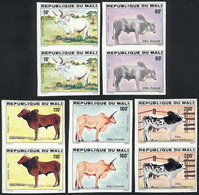 MALI: Yv.459/463, 1981 Fauna (zebu Cattle), Complete Set Of 5 Values, IMPERFORATE PAIRS, VF Quality! - Mali (1959-...)