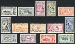 FALKLAND ISLANDS/MALVINAS: Yv.101/114, 1952 Animals, Birds, Ships, Etc., Cmpl. Set Of 14 Values, Mint Very Lightly Hinge - Islas Malvinas