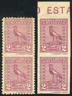 URUGUAY: Sc.287, 1924 Tero Southern Lapwing 2c., Imperforate Pair + Pair Imperforate Between, Mint No Gum, Tiny Defect ( - Uruguay