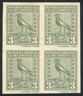 URUGUAY: Sc.288, 1924 Tero Southern Lapwing 3c., IMPERFORATE BLOCK OF 4, Excellent Quality (the Top Stamps Lightly Hinge - Uruguay