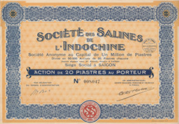 Indochine - Société Des Salines De L'Indochine - Action De 20 Piastres / 1929 - Azië