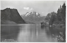 VIERWALDSTÄTTERSEE → Bürgenstock Und Pilatus Anno 1935 - Altri & Non Classificati