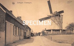 Molen Zottegem - Erwetegem - Zottegem