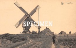 De Molen - Tongerlo - Bree