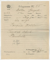 TELEGRAMMA    N°  55      1900    DA  WOHLEN PER    NEW  YORK - Télégraphe