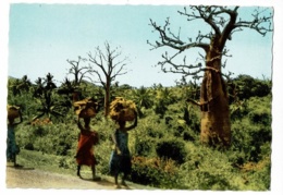 4075 - Grande Comore - Baobab Sur La Route De Mitsomiouli (porteuses De Corbeilles Sur La Tête) - Pas Circulé - Comores