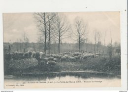 28 JOUY LA VALLEE DE L EURE MOUTONS AU PATURAGE CPA BON ETAT - Jouy