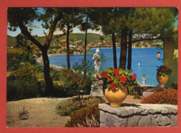 Delcampe - CP61 83 SAINTE MAXIME 518 - Sainte-Maxime