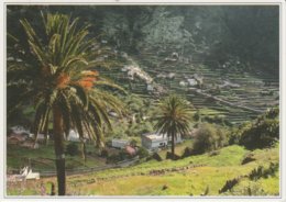 (CANA939) GOMERA. VALLE GRAN REY. VALLE ALTO - Gomera