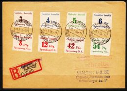 Germany Allied Occupation, Soviet Zone, Nice Cover - Sonstige & Ohne Zuordnung