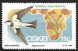 Ciskei (South Africa) - MNH - 1984 - Banded Martin    Riparia Cincta - Golondrinas