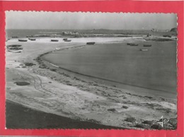 CPSM Grand Format - Plougerneau  -(Finistère ) - St Michel -Grève Et Port De Korejou -(Barrage Naturel) - Plouguerneau