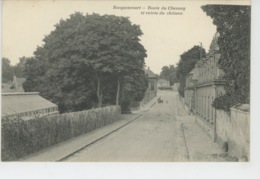 ROCQUENCOURT - Route Du Chesnay Et Entrée Du Château - Rocquencourt