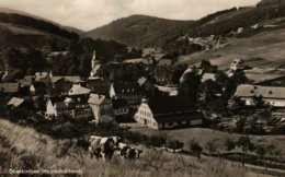 OBERKIRCHEN/HOCHSAUERLAND - Schmallenberg