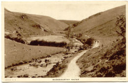 UK BADGEWORTH 1910 Mint Sepia Tuck's Postcard, Badgeworthy Water, Good Condition - Sonstige & Ohne Zuordnung