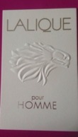 LALIQUE POUR HOMME  TÈTE DE LION - Modernes (à Partir De 1961)