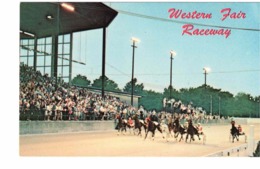 LONDON, Ontario, Canada, Harness Race, Western Fair Raceway, Old Chrome Postcard, Middlesex County - Londen
