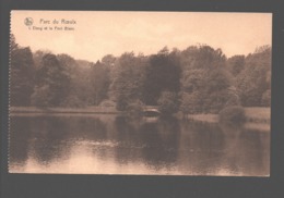 Le Roeulx - Parc Du Roeulx - L'Etang Et Le Pont Blanc - état Neuf - Le Roeulx