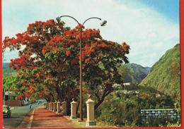 Saint-Denis De La Réunion-  Le Boulevard Lacaussade - Edit Labo-PhotoLibrairie De Bourbon  Paypal Sans Frais - Saint Denis