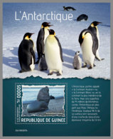 GUINEA REP. 2019 MNH Antarctic Animals Tiere Der Antarktis Animaux De L'Antarctique S/S - IMPERFORATED - DH1938 - Faune Antarctique