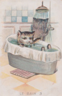 CPA - Chat - Le Bain - Chats