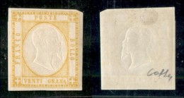 ANTICHI STATI ITALIANI - NAPOLI - 1861 - 20 Grana (23) - Gomma Originale - Colla (750) - Autres & Non Classés