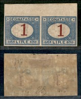 REGNO - Segnatasse - 1890 - 1 Lira (27g) - Coppia Non Dentellata Bordo Foglio - Gomma Originale - Diena (560+) - Sonstige & Ohne Zuordnung