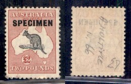 OLTREMARE - AUSTRALIA - 1913 - Specimen - 2 Pounds (18) - Gomma Originale - Autres & Non Classés