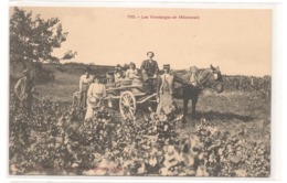 Scene Champetre - Macon - Les Vendanges   - CPA° - Autres & Non Classés