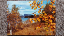 CPSM LUMIERE ET COULEURS SUR LA VALLEE DE JOUX LAC ET DENT DE VAULION ED DERIAZ - Vaulion