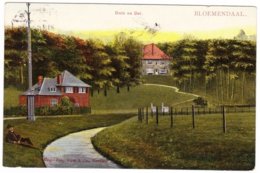 Bloemendaal - Duin En Dal - 1907 Tulpkaart - Bloemendaal