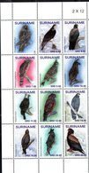 SURINAME, 2019, MNH, BIRDS, BIRDS OF PREY,  EAGLES, 12v , HIGH FV - Águilas & Aves De Presa