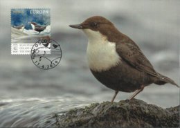 NORUEGA/ NORWAY/ NORWEGEN/ NORVÈGE- EUROPA 2019 -NATIONAL BIRDS.-"AVES - BIRDS - VÖGEL -OISEAUX"- MAXIMUM CARD - 2019