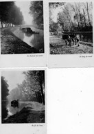 3 CPSM -   NEMOURS -  Canal Du Loing -  Chemin De Halage Sur Le Canal Du Loing - Ecluse De Chaintréauville - Nemours