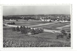 23239 - Ecublens Tir Fédéral 1954 - Écublens