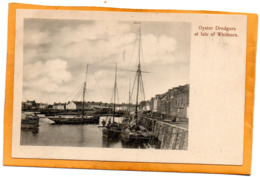 Isle Of Whithorn UK 1907 Postcard - Dumfriesshire