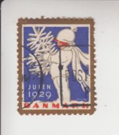 Denemarken Kerstvignet Cat.AFA Julemaerken Norden: Uitgifte Door Danmark Julemaerke Komitéen Jaar 1929 - Feuilles Complètes Et Multiples