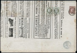 O N°5054, 1c. X 2 (1 Ex Déf.) + 10c. Obl CàD ARGENTEUIL 30 Août 76 Sur Journal LE SIFFLET. TB Et R. - 1871-1875 Cérès