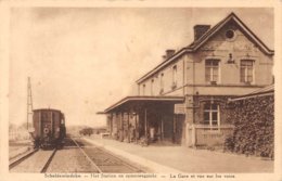 Het Station En Spoorwegzicht - Scheldewindeke - Oosterzele